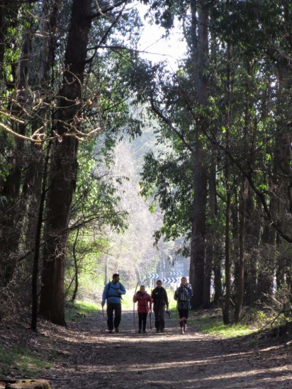Camino de Santiago en una experiencia Mindfulness, Camino De Santiago O'cebreiro