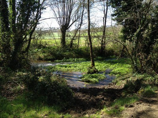Camino de Santiago de Compostela en una experiencia Mindfulness, Camino De Santiago O'cebreiro